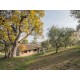 Properties for Sale_PRESTIGIOUS FARMHOUSE IN THE MARCHE REGION IN CENTRAL ITALY in Le Marche_14